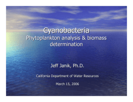 Cyanobacteria Phytoplankton analysis &amp; biomass determination Jeff Janik, Ph.D.