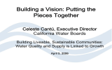 Building a Vision: Putting the Pieces Together Celeste Cantú, Executive Director