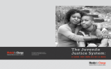 The Juvenile Justice System: An initiative supported by the John D.