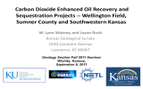 Carbon Dioxide Enhanced Oil Recovery and Sequestration Projects -- Wellington Field,