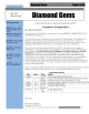 Diamond Gems hImer Page 1 of 14 “Excellence Through Effort”