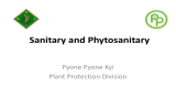 Sanitary and Phytosanitary Pyone Pyone Kyi Plant Protection Division