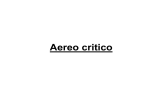 Aereo critico - Comune di Siena