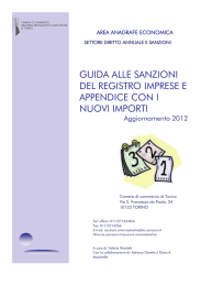 Guida alle Sanzioni del Registro Imprese