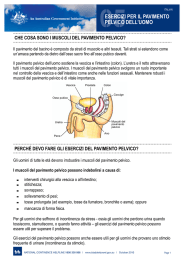 05esercizi per il pavimento pelvico dell`uomo