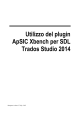 Utilizzo del plugin ApSIC Xbench per SDL Trados Studio 2014