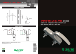 CREMONESE UNICA APEX GIESSE