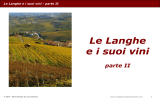 Le Langhe ei suoi vini - Vini e Percorsi Piemontesi