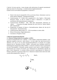 L`attivita` di ricerca prevista è stata orientata sulla realizzazione di