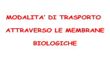 modalita` modalita` di trasporto trasporto attraverso le membrane