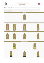 Tabella dei Gradi in Uso del Corpo Militare della