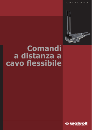 Cavo flessibile