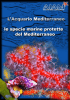 Le specie marine protette del Mar Mediterraneo