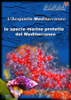 Le specie marine protette del Mar Mediterraneo