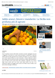 Addio aranci, limoni e mandarini. La Sicilia non profuma più di