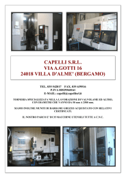 CAPELLI S.R.L. VIA A.GOTTI 16 24018 VILLA D`ALME` (BERGAMO)