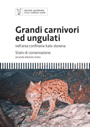 Grandi carnivori ed ungulati - Regione Autonoma Friuli Venezia Giulia