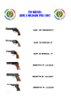 armi a noleggio