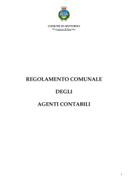 Regolamento degli Agenti Contabili