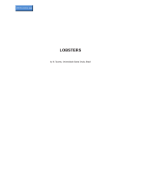 LOBSTERS