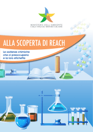 Alla scoperta di REACH