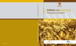 Energia dalle biomasse. Tecnologie e prospettive