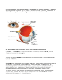 Gli occhi sono organi molto sensibili ma con la precisione di una