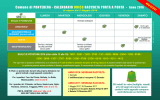 calendario