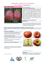 Scheda Pom Costa - Parco dell`Adamello