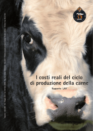 I costi reali del ciclo di produzione della carne