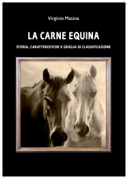 la carne equina