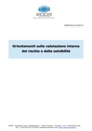 Orientamenti sulla valutazione interna del rischio e della solvibilità