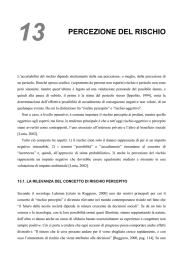 13 PERCEZIONE DEL RISCHIO