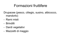 Formazioni fruttifere - Credito Cooperativo dell`Adda e del Cremasco