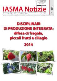 IASMA NOTIZIE PICCOLI FRUTTI E ORTAGGI n. 1