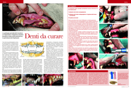 Curare i DENTI dei LEVRIERI