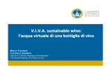 VIVA sustainable wine: l`acqua virtuale di una