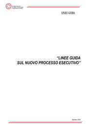 &ldquo;LINEE GUIDA SUL NUOVO PROCESSO ESECUTIVO&rdquo;