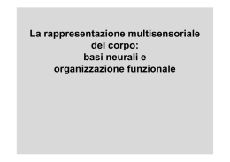 La rappresentazione multisensoriale del corpo