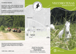 Brochure VecchioTexas - Centro Equitazione Vecchio Texas