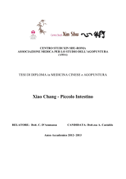 Xiao Chang - Piccolo Intestino