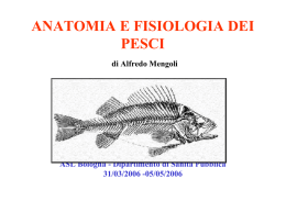 anatomia e fisiologia dei pesci