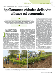 Spollonatura chimica della vite efficace ed economica