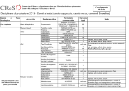 Disciplinare di produzione 2013 - Cavoli a testa (cavolo