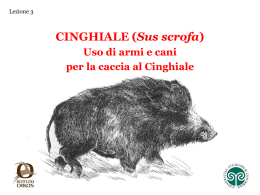 fucili a canna liscia per la caccia al cinghiale