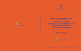 Small Business Act - Rapporto 2015