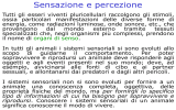 percezione (pdf, it, 10207 KB, 5/10/11)