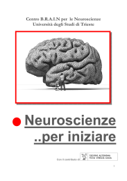 Neuroscienze ..per iniziare - Università degli Studi di Brescia