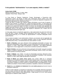 &ldquo;leishmaniotico&rdquo; &egrave; un cane esposto, infetto o malato?