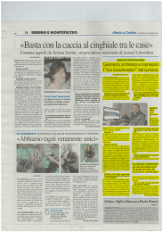 «Basta con la caccia al cinghiale tra le case»